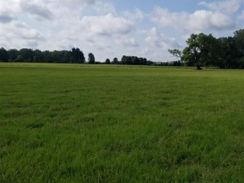 Land in West Carroll Parish, Farm for Sale in Louisiana, 247023 FARMFLIP