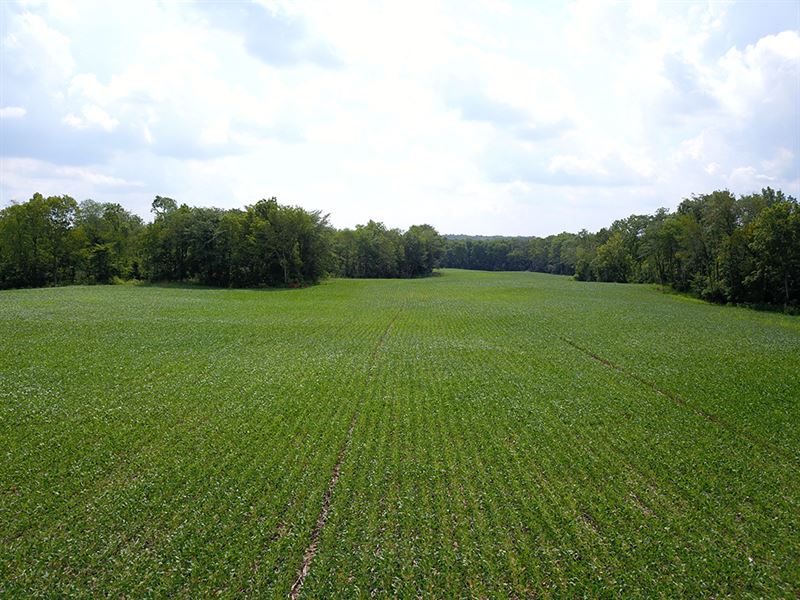 Recreational or Farm Opportunity, Farm for Sale in Ohio, 247042 FARMFLIP