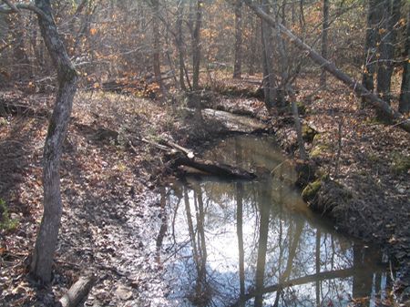 180 Acres Near Plainville : Plainville : Gordon County : Georgia
