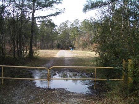 158 Acres Old Jackson Chapel Road : Cedartown : Polk County : Georgia