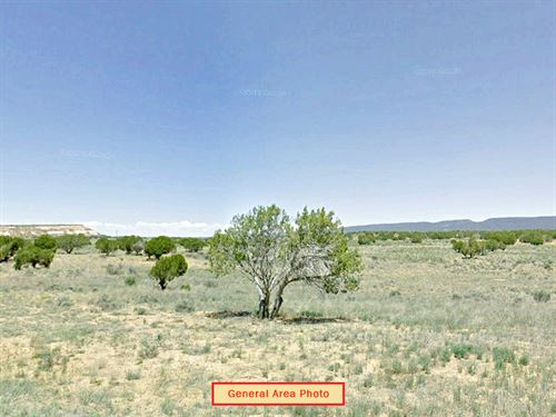 Big Off Grid Property : Pinehill : Cibola County : New Mexico