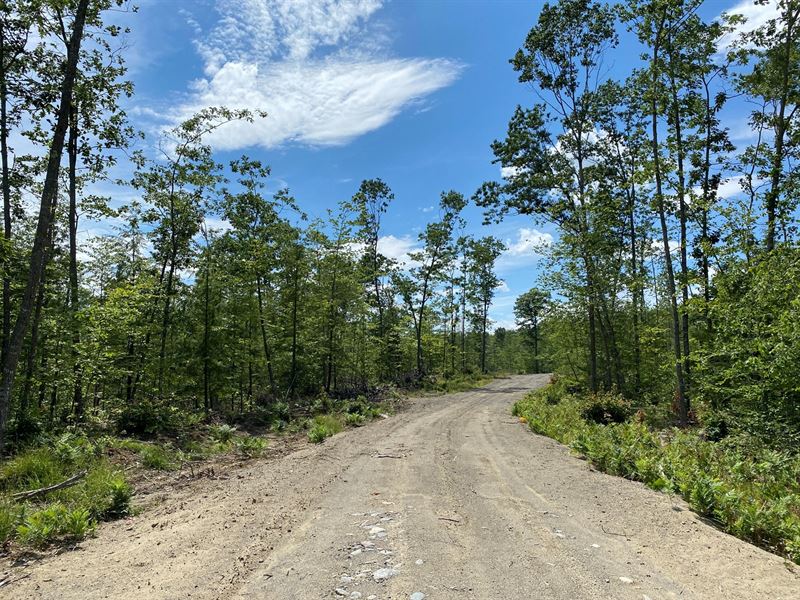 Land for Sale in Norridgewock, ME, Farm for Sale in Maine, 247179