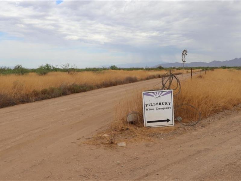 40 Acres Willcox American, Farm for Sale in Arizona, 247311 FARMFLIP