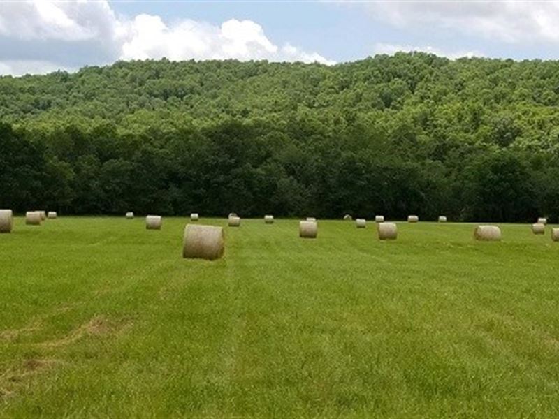 Farm Hunting Land Ripley County, MO, Farm for Sale in Missouri, 247322