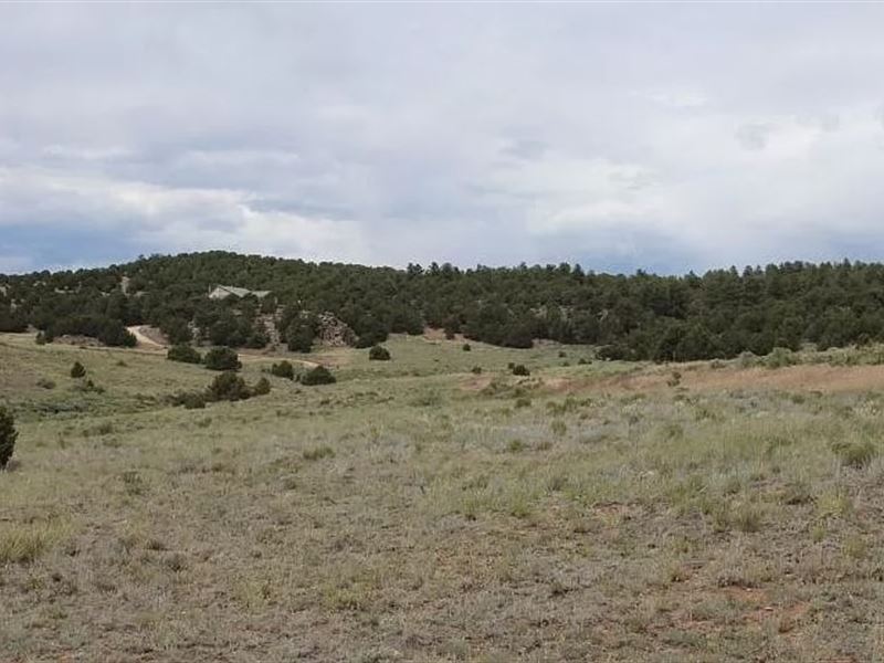 7.44 Acres in Westcliffe, CO, Farm for Sale by Owner in Colorado
