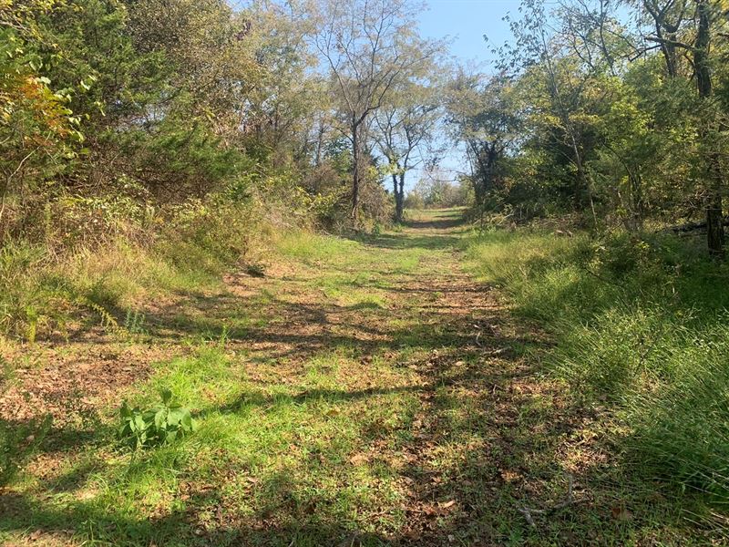 216 Acres in The Ozark Mountains, Farm for Sale in Arkansas, 247488