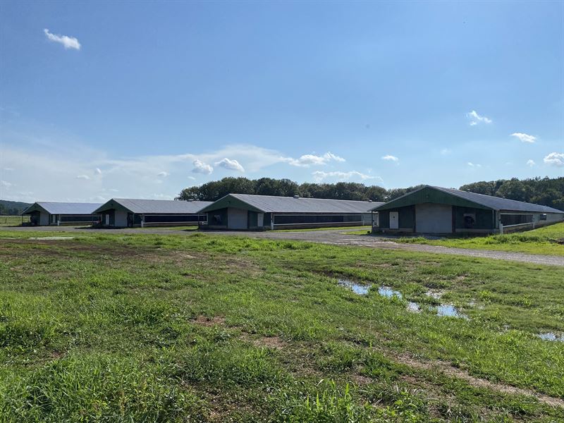 16 House Broiler Poultry Farm, Farm for Sale in 247579 FARMFLIP