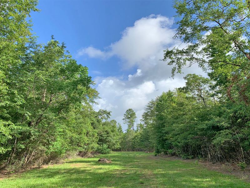 Rock A Way Creek Drive : Atmore : Escambia County : Alabama