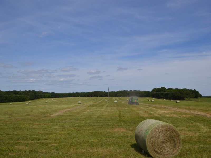Missouri Cattle Farm for Sale, Farm for Sale in Missouri, 247864