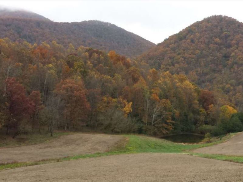 Large Historic Mountain Property, Farm for Sale in Virginia, 247960