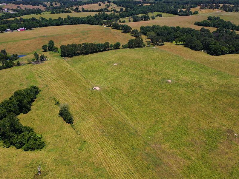 Southern MO Cattle Ranch for Sale, Farm for Sale in Missouri, 247984