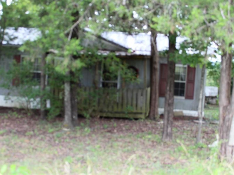 Home 6 Acres Ozark County Missouri, Farm for Sale in Missouri, 248067