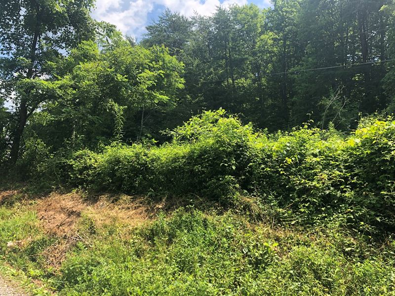 Hunting Land Thorn Hill Tennessee Farm for Sale in Thorn Hill