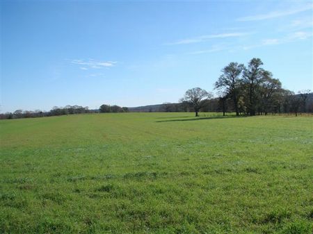 Brushy Creek Ranch&home W/469.71 Ac : Keysville : Burke County : Georgia