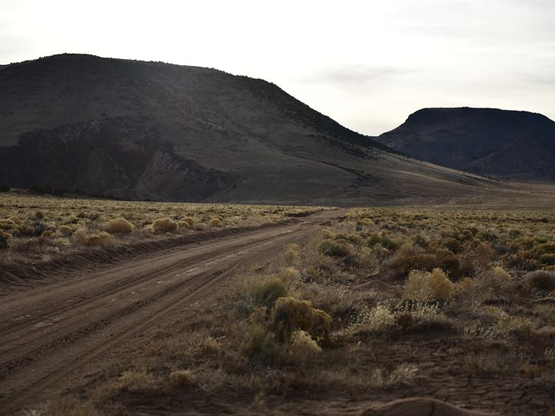 Next to Lobato Bridge and River : Antonito : Costilla County : Colorado