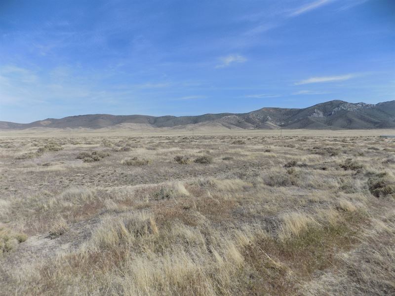 Land Views Humboldt Mountains, Farm for Sale in Nevada, 248579 FARMFLIP