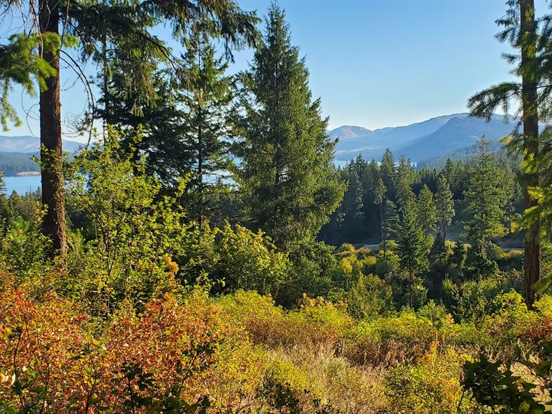 10 Acres Lake Roosevelt RV Spot, Farm for Sale in Washington, 248598