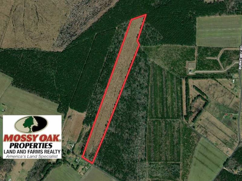 Under Contract, 23 Acres Hunting : Edenton : Perquimans County : North Carolina