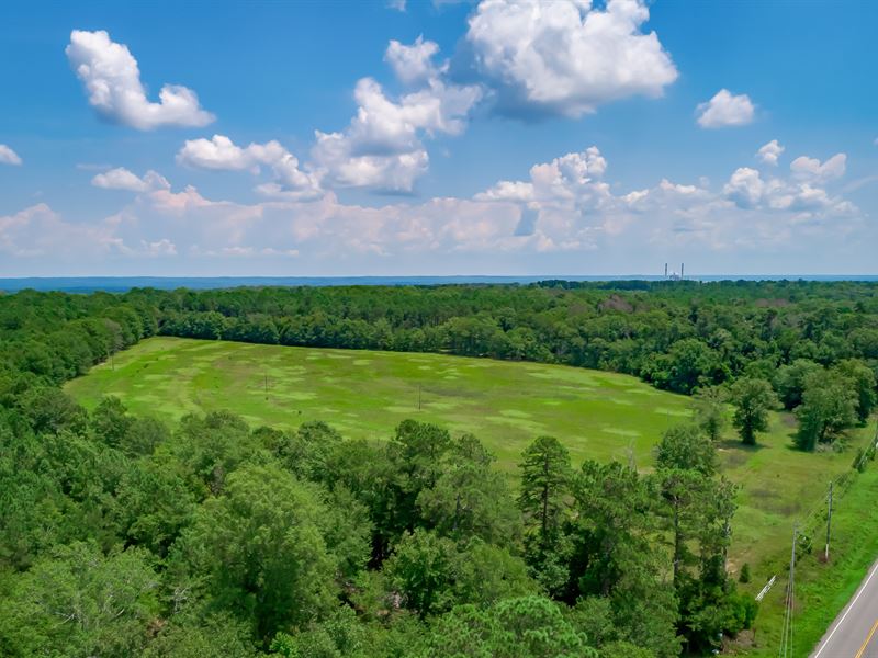 Lower Richland Investment Property Farm for Sale in Eastover