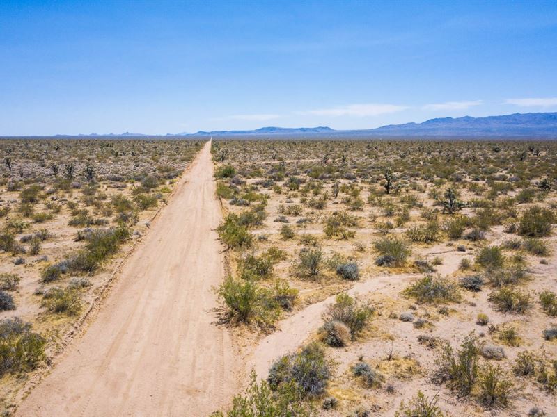Owner Finance, Desert Fun, 40 Acres, Farm for Sale by Owner in Arizona