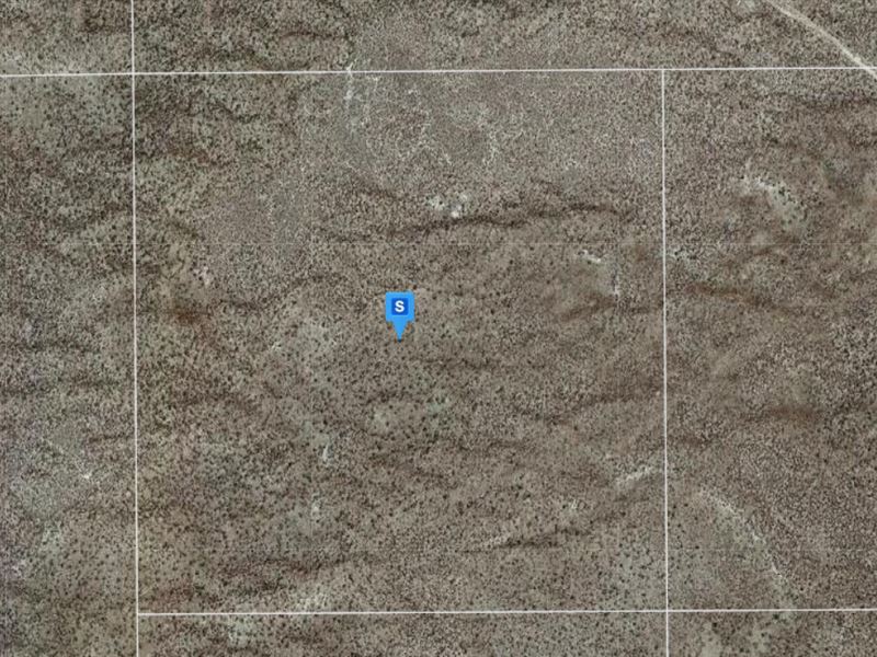 40 Acres in Humboldt County, NV : Winnemucca : Humboldt County : Nevada