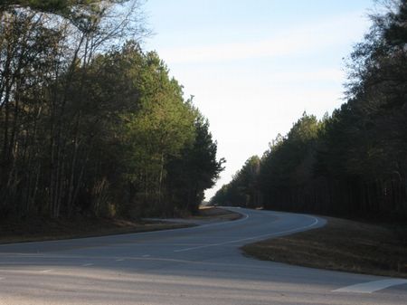 Yemassee North Tract : Hampton : Hampton County : South Carolina
