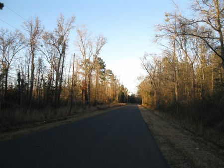 Carters Ford Tract : Ruffin : Colleton County : South Carolina