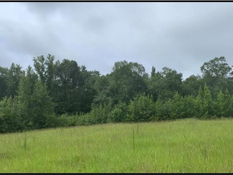 6 Acres in Jasper County in Heidelb, Farm for Sale in Mississippi