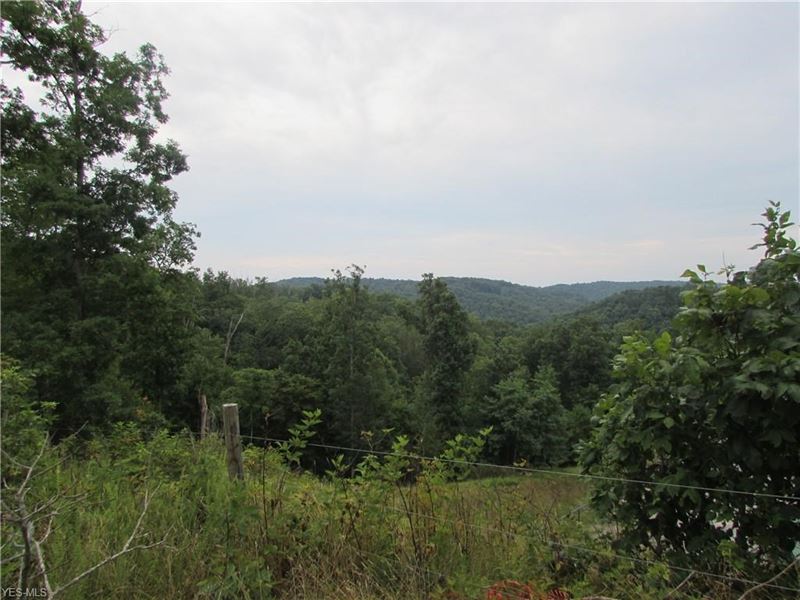 93 Acres of WV Hunting Land, Farm for Sale in West Virginia, 249630