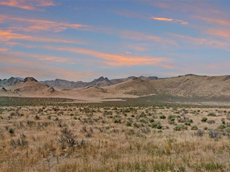 9 Acres Just Outside of Winnemucca, Farm for Sale by Owner in Nevada