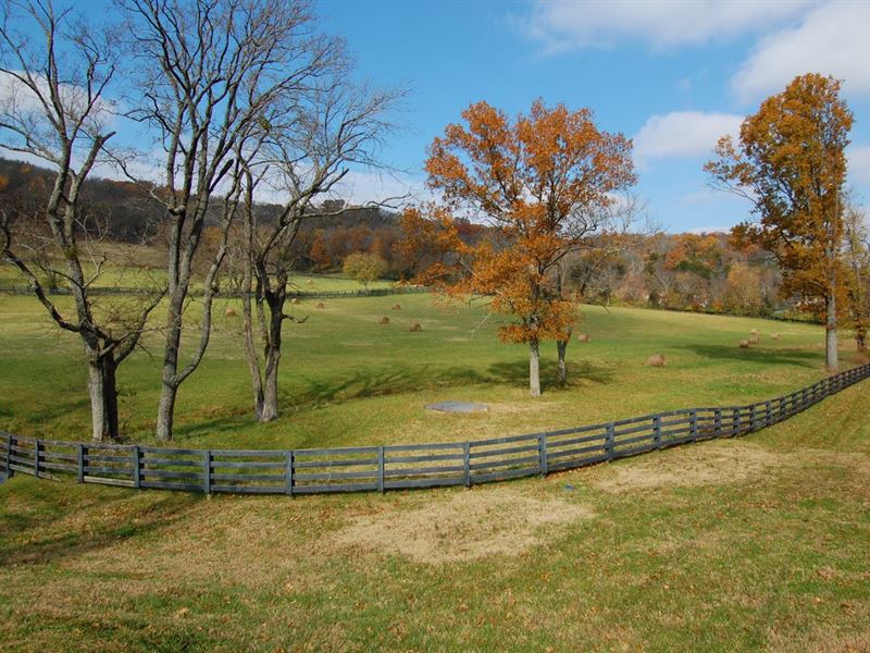 Hillsboro Farm, Farm for Sale in Tennessee, 249683 FARMFLIP