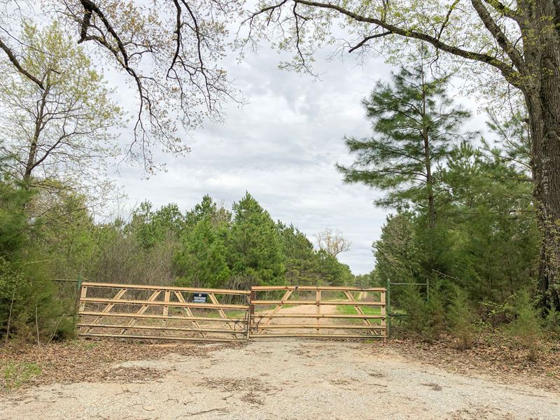 129 Acres, Maya 1004 Tract 3 : Simms : Bowie County : Texas