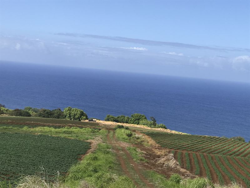 Beautiful, Agricultural Estate Farm for Sale by Owner in Papaaloa