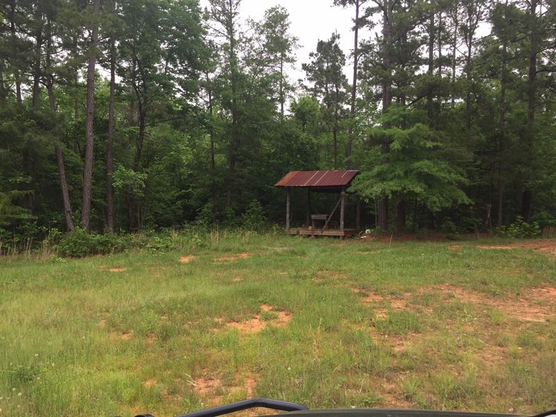 Great Deal, Hunting Land, Farm for Sale in 249786 FARMFLIP