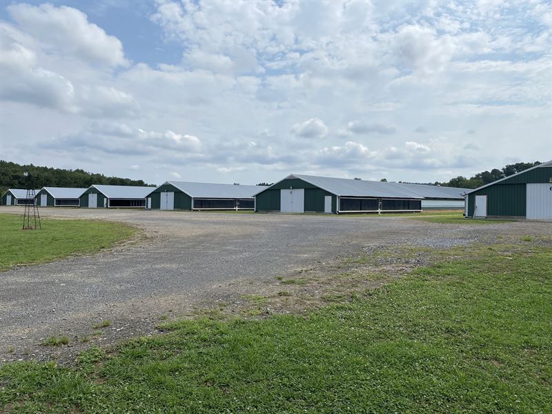 Clean 6 House Poultry Broiler Farm, Farm for Sale in 249813