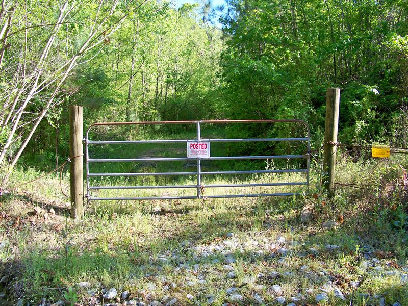 Etowah County Timberland Farm for Sale in Attalla, Etowah County