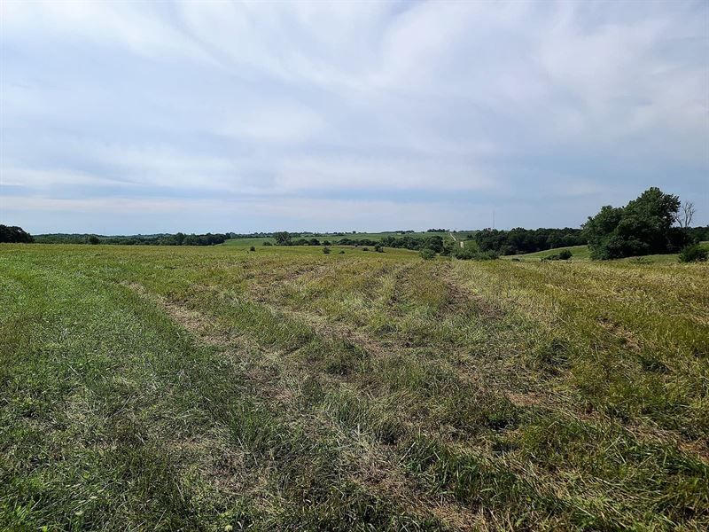 80 Acres for Sale in North Missouri, Farm for Sale in Missouri, 249873