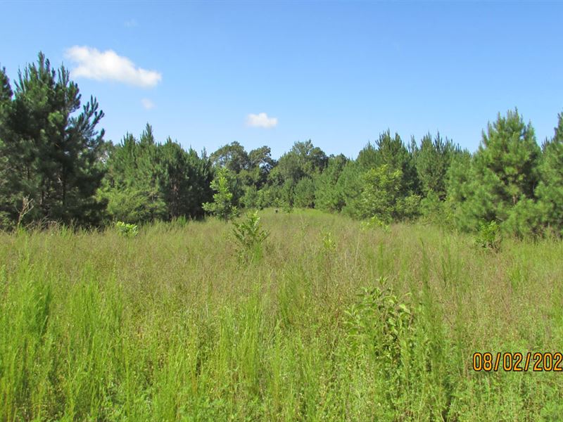 Burnt Corn Creek Tract, Farm for Sale in Alabama, 249938 FARMFLIP