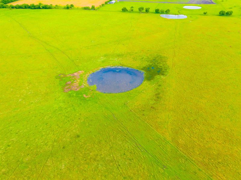15 Acres with Bass Stocked Pond : Mart : McLennan County : Texas
