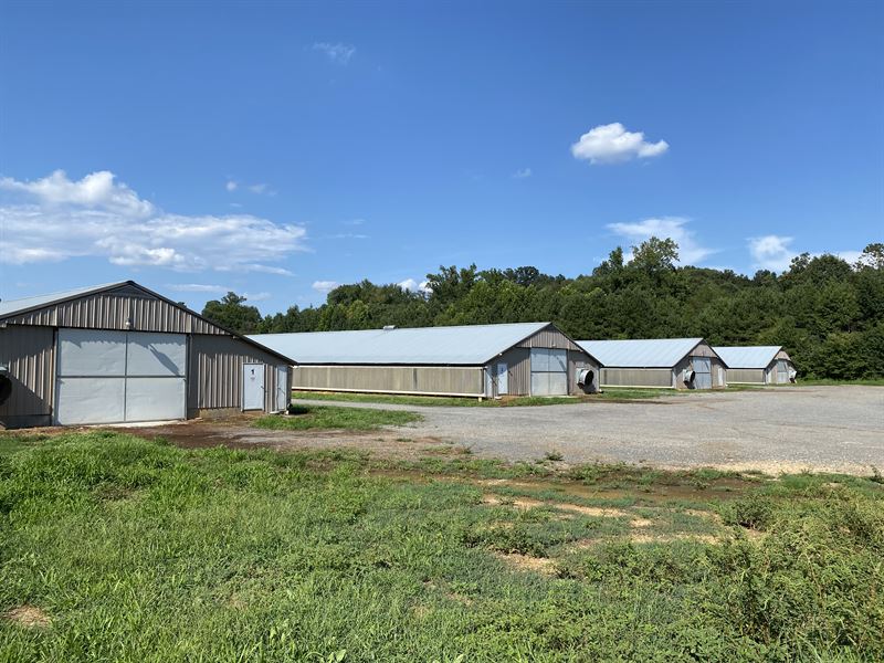 8 House Broiler, Farm for Sale in 250022 FARMFLIP