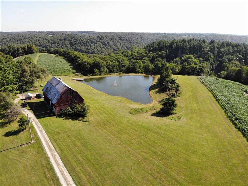 Land for Sale, 50 Acres in Dearbor, Farm for Sale in Indiana, 250182