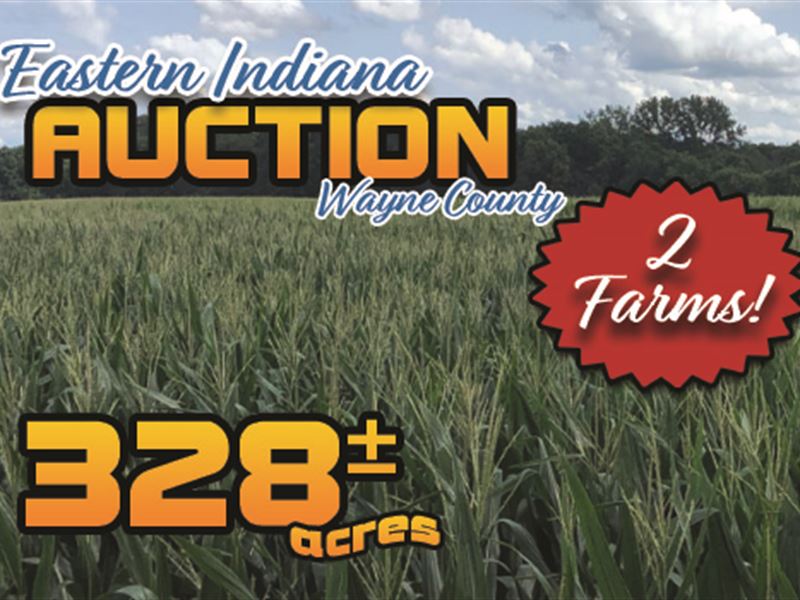 Farmland Auction in Indiana, Farm Auction in Indiana, 250285 FARMFLIP