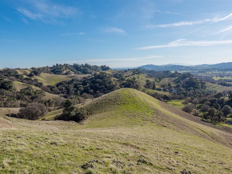 Northern California Iconic Bucktown, Farm for Sale in California