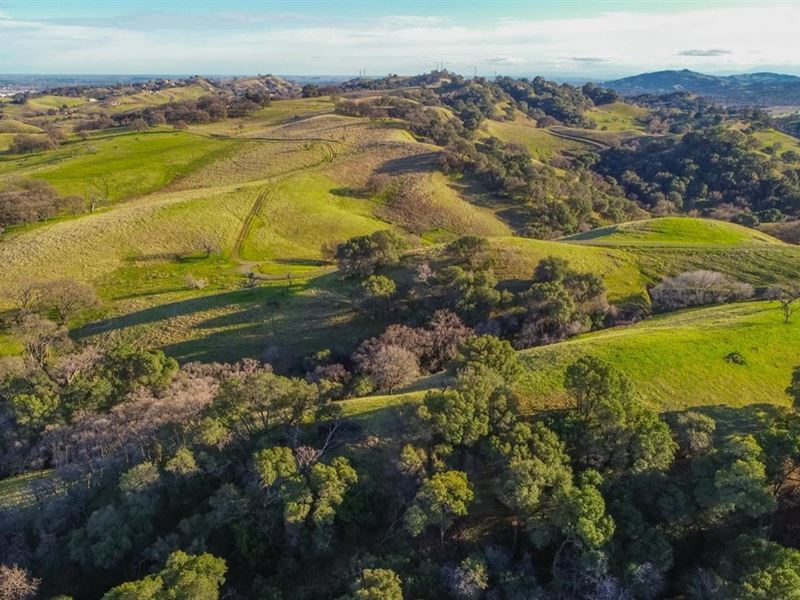 Northern California 50 Private Farm for Sale in Vacaville, Solano County, California 250363