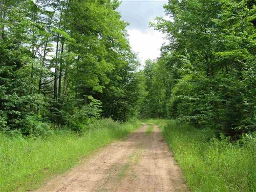 UP Wooded Wonder : Houghton : Michigan
