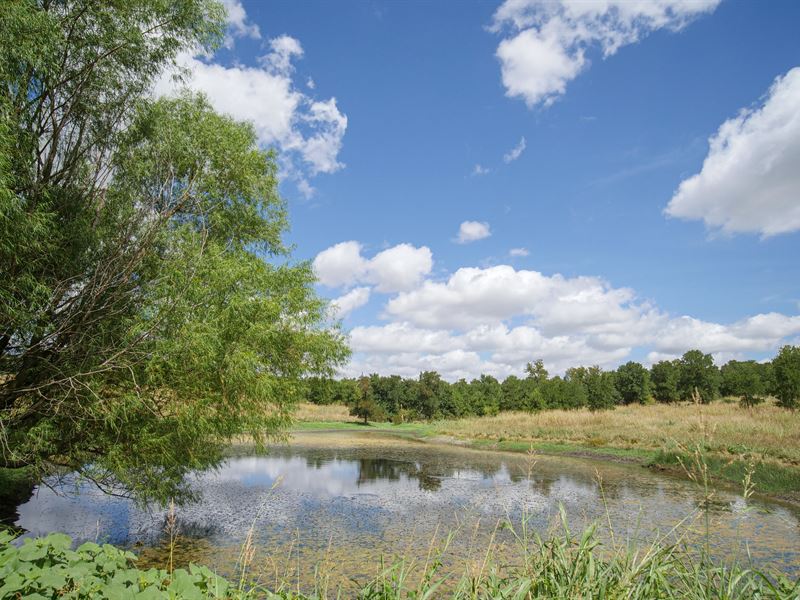 Nice Rolling Hills and Large Pond : Cameron : Milam County : Texas