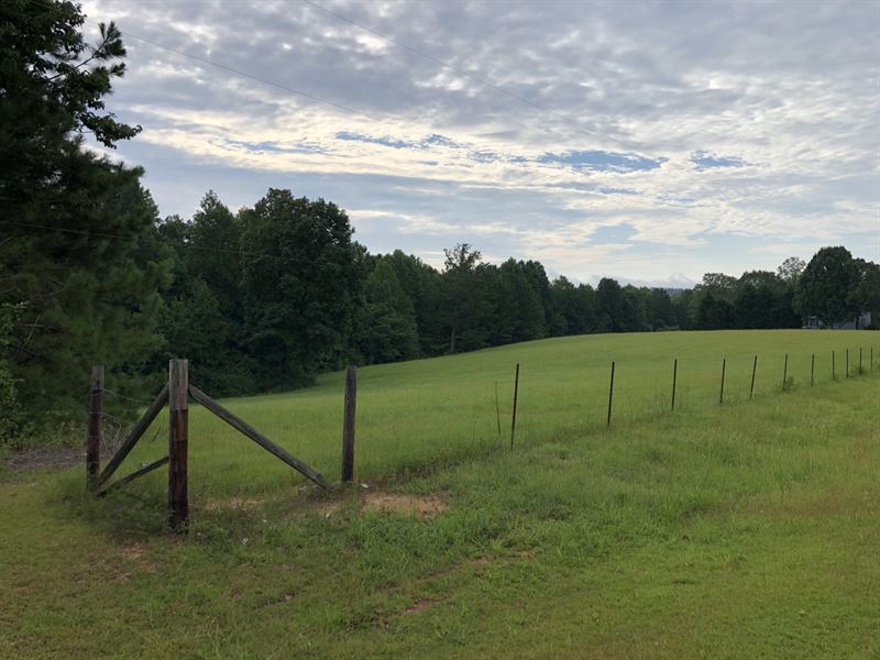 75 Acres of Pasture Land Farm for Sale in Goodwater, Clay County