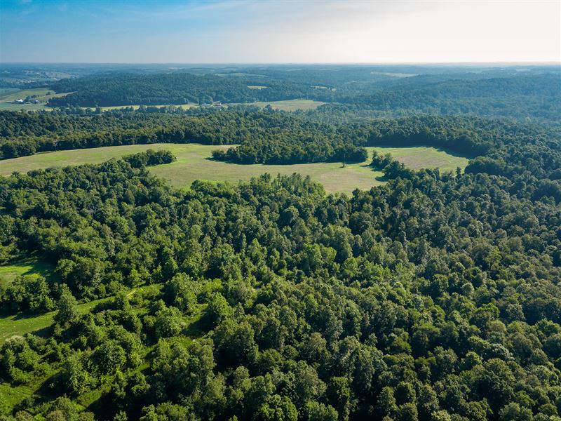 Southeastern Ohio 270 Acre Auction, Farm Auction in Ohio, 250578