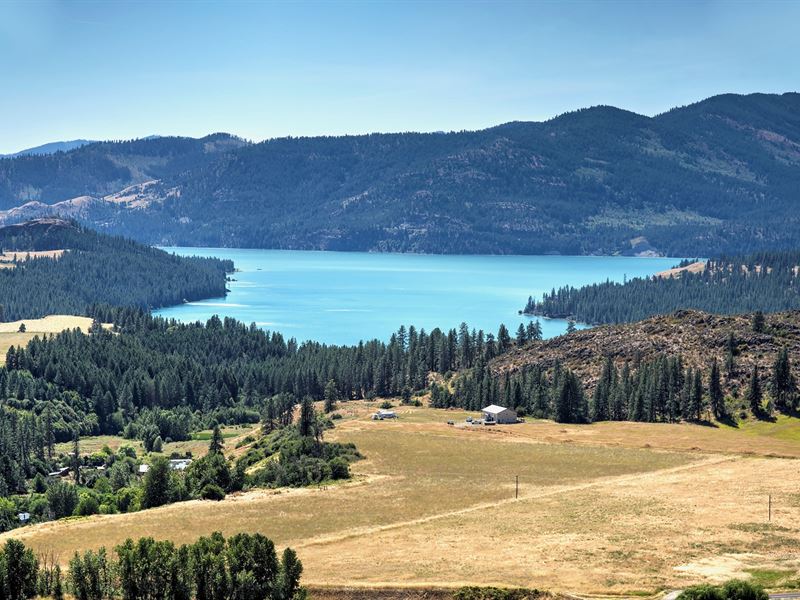 117 Acre Homestead Investment, Farm for Sale in Washington, 250680