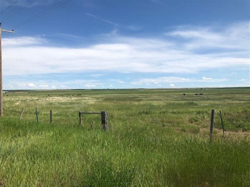 Montana Land Near Conrad, MT, Farm for Sale in Montana, 250714 FARMFLIP